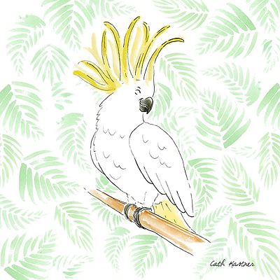 white cockatoo children's illustration